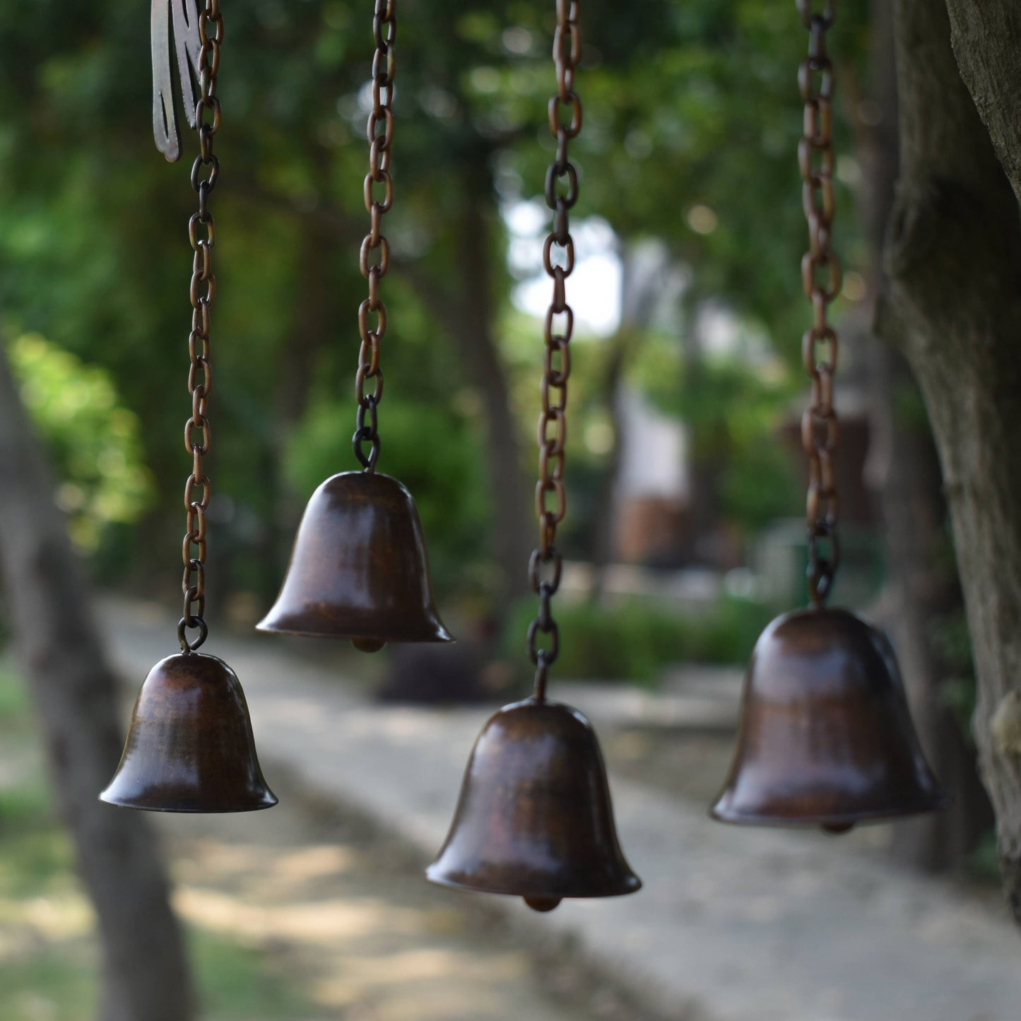 Cardinal on a Branch Bell Chimes