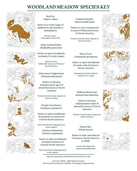 Woodland Meadow Fox Print