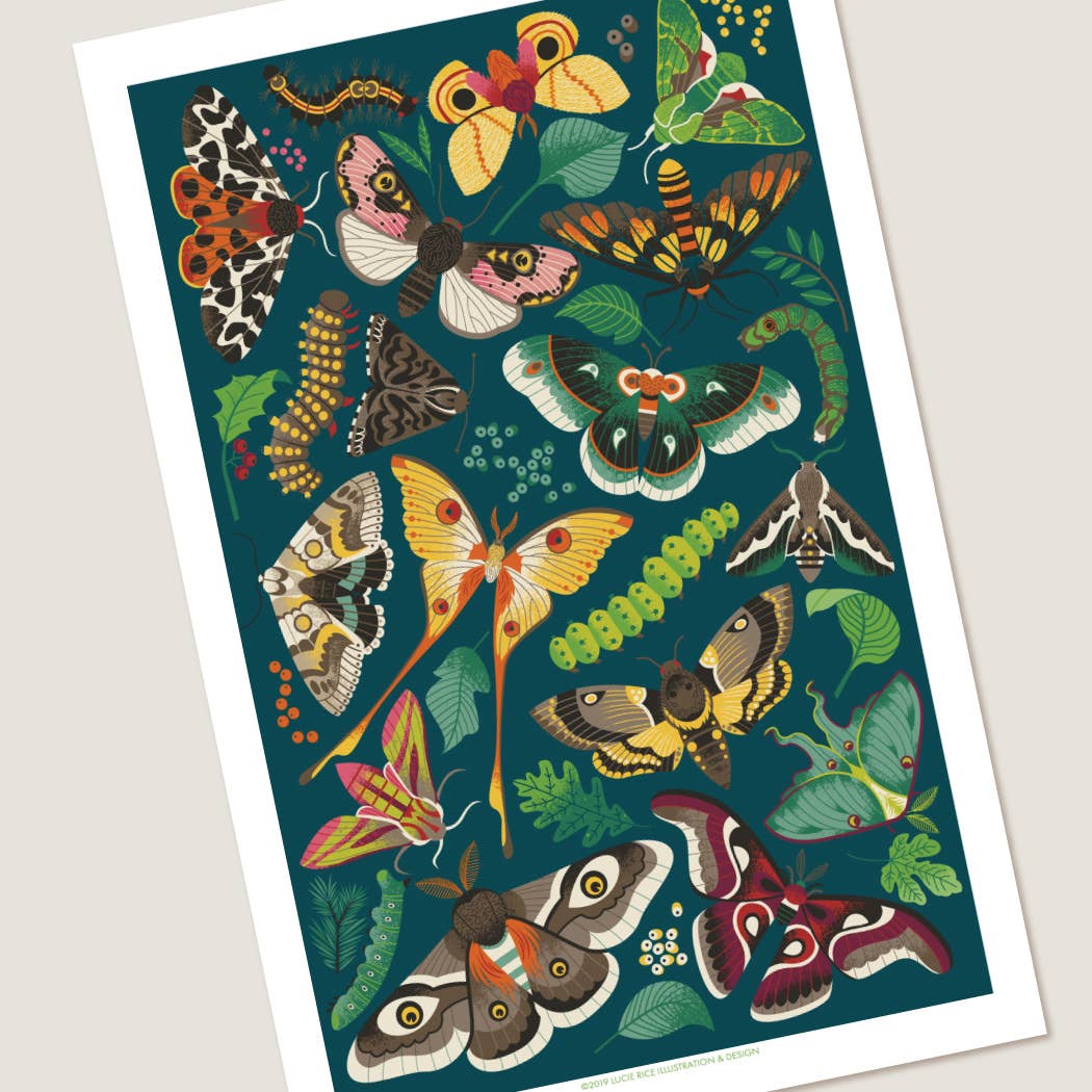 Modern Moth Art Print