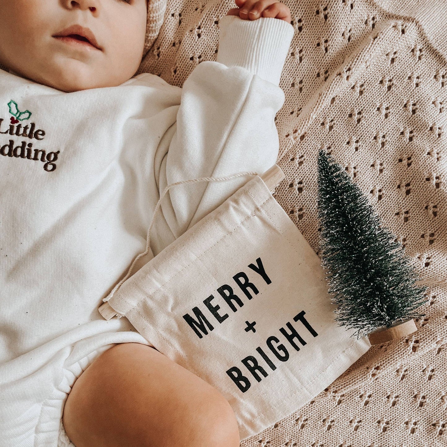 Merry + Bright Canvas Wall Sign