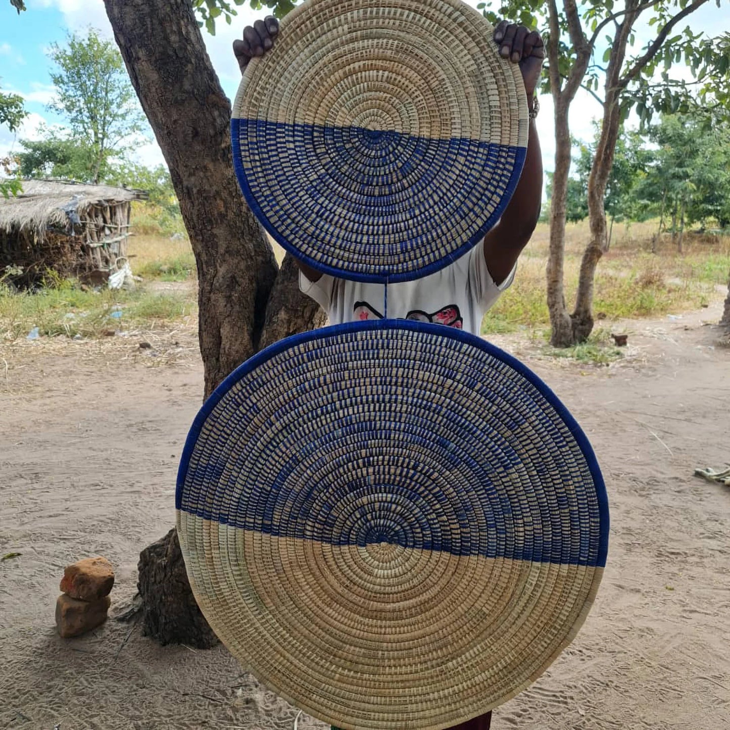 Connecting Shapes Palm Wall Art