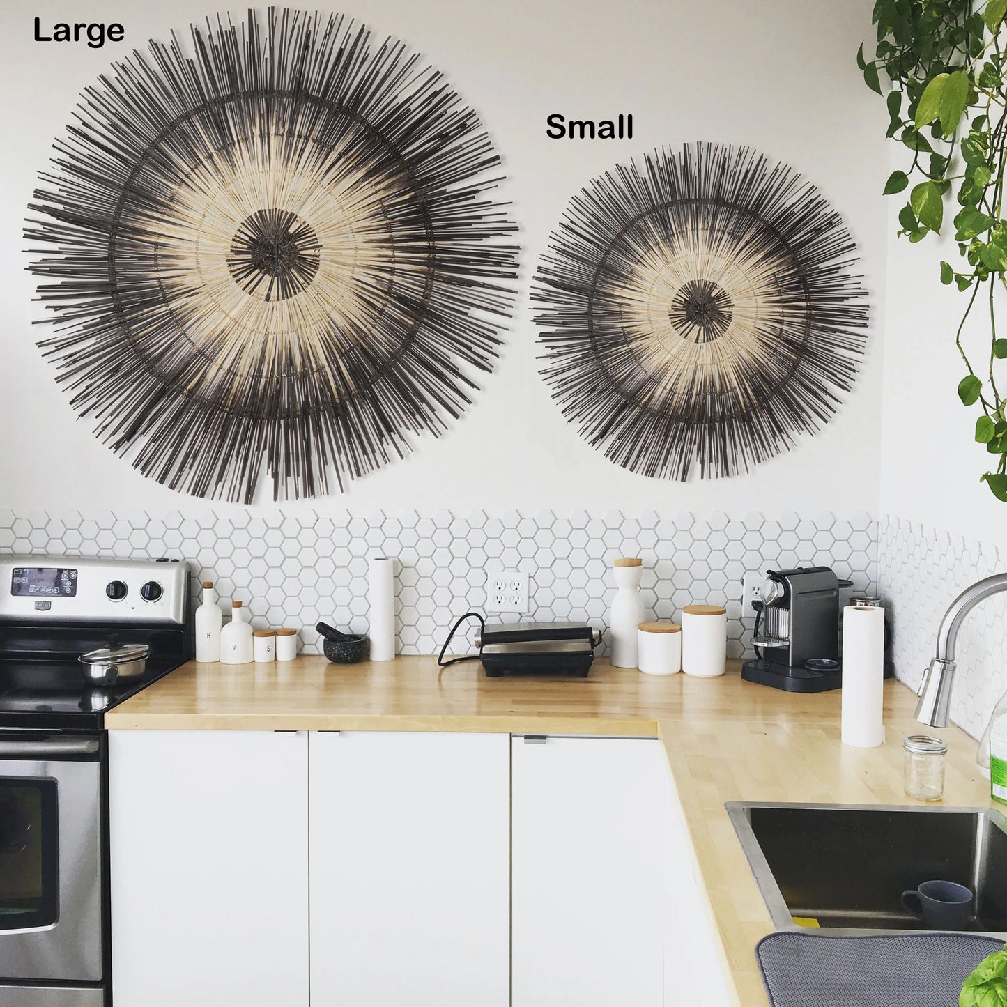 Palm Sun Circle 35.5"