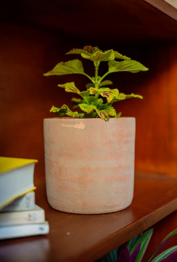 Concrete-washed Terracotta Cylinder Planter