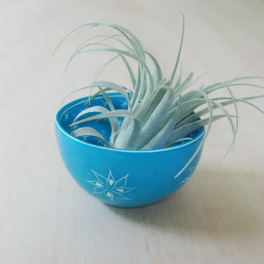 Two Pattern Soapstone Bowl