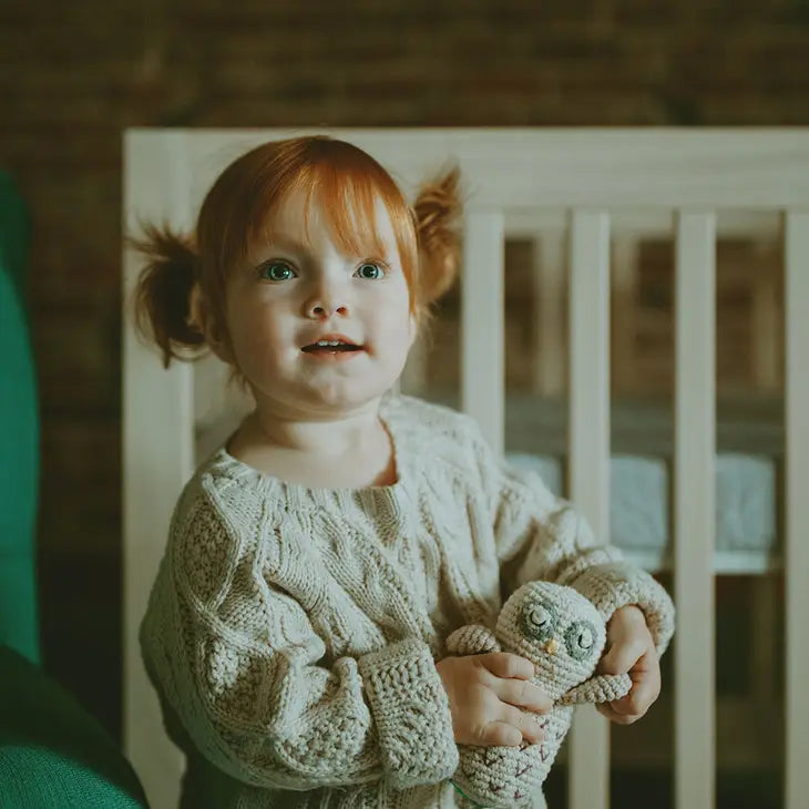 Crocheted Owl Stuffed Animal