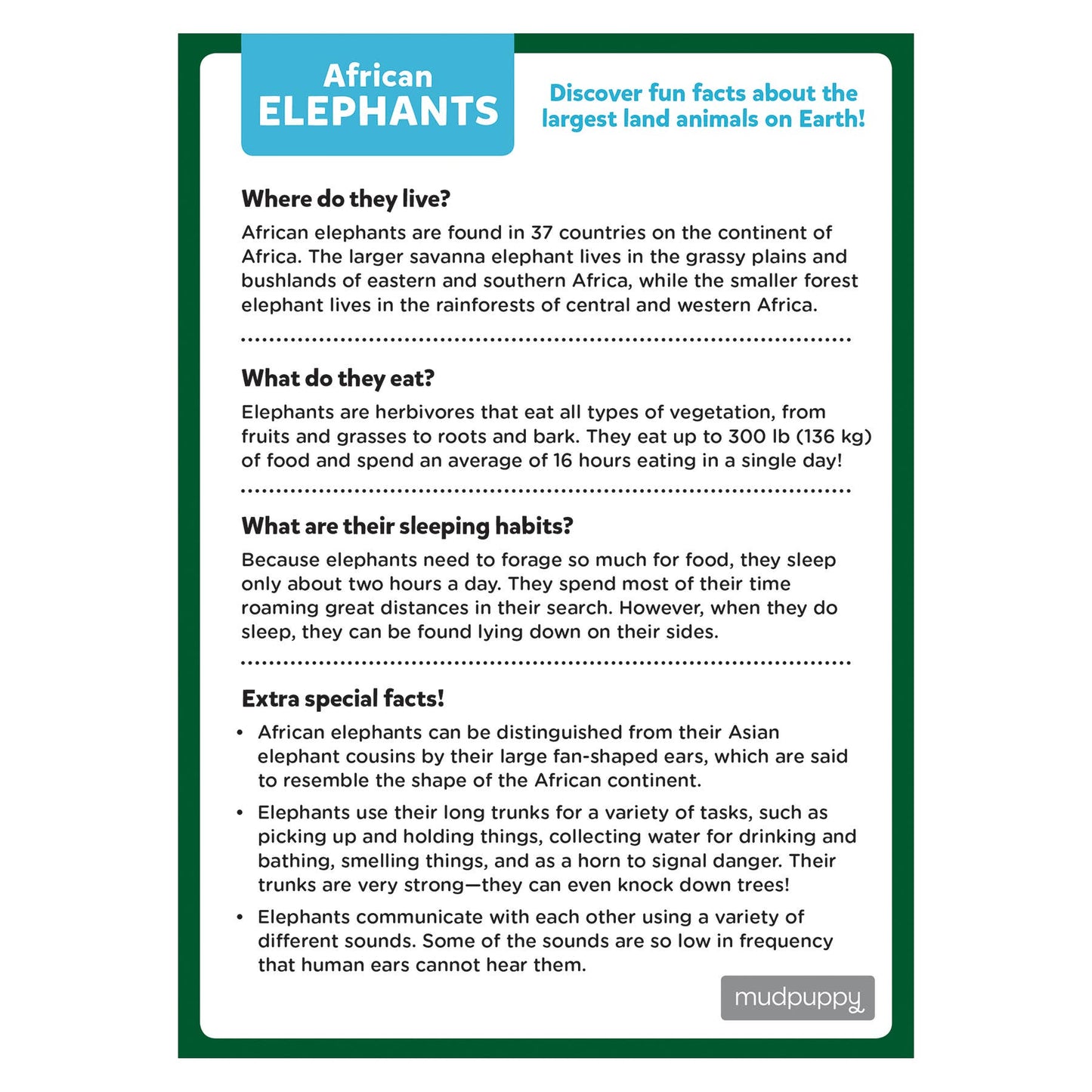 African Elephant Mini Puzzle