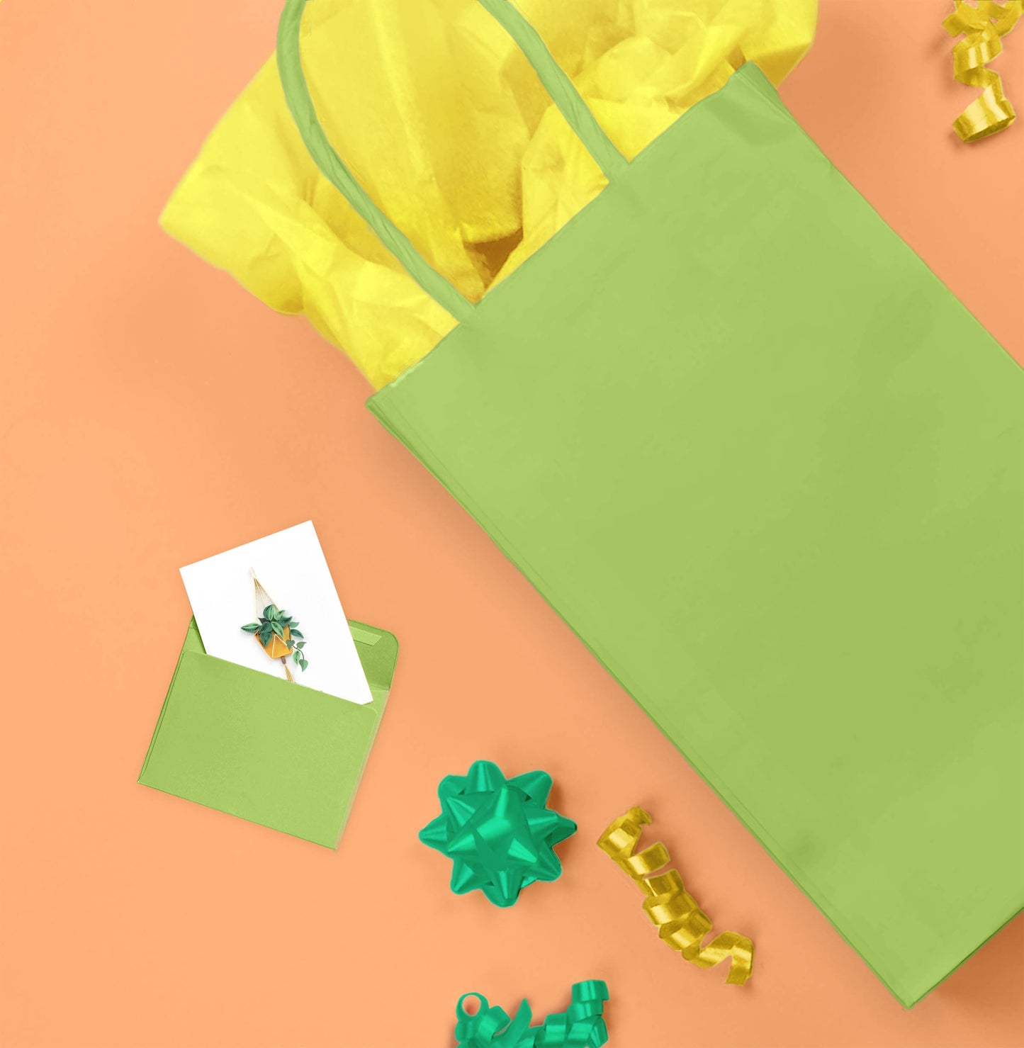 Pothos Macrame Hanger Gift Enclosure Mini Card