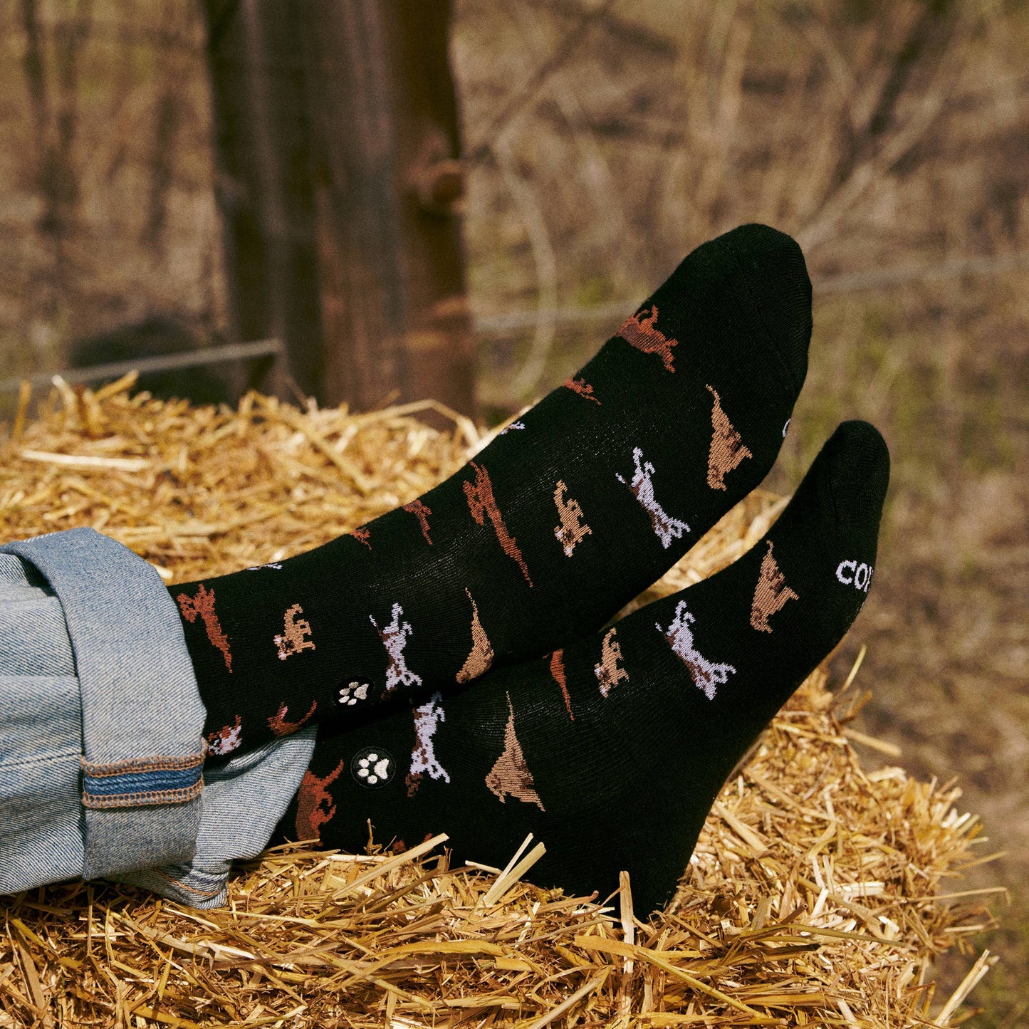 Socks that Save Dogs (Paw Parade)