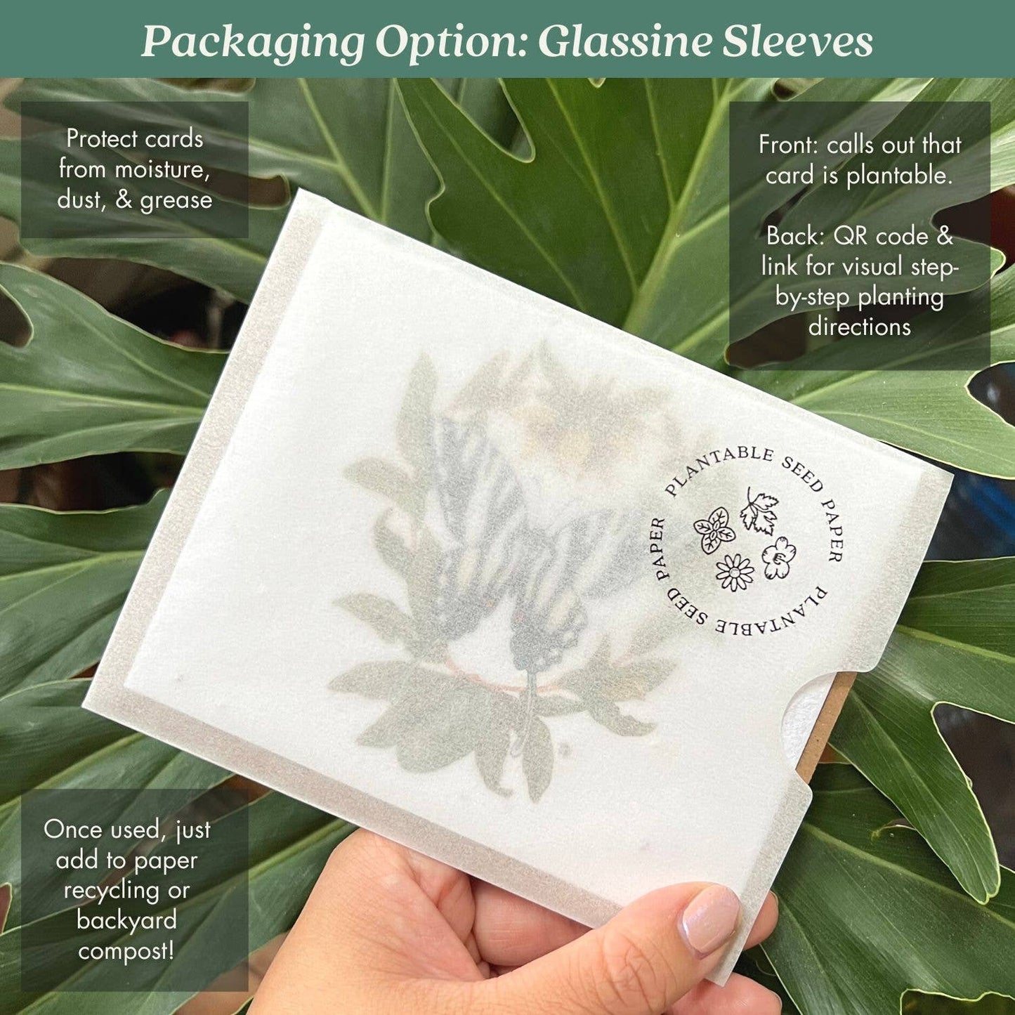 Honey Bee Plantable Wildflower Seed Card