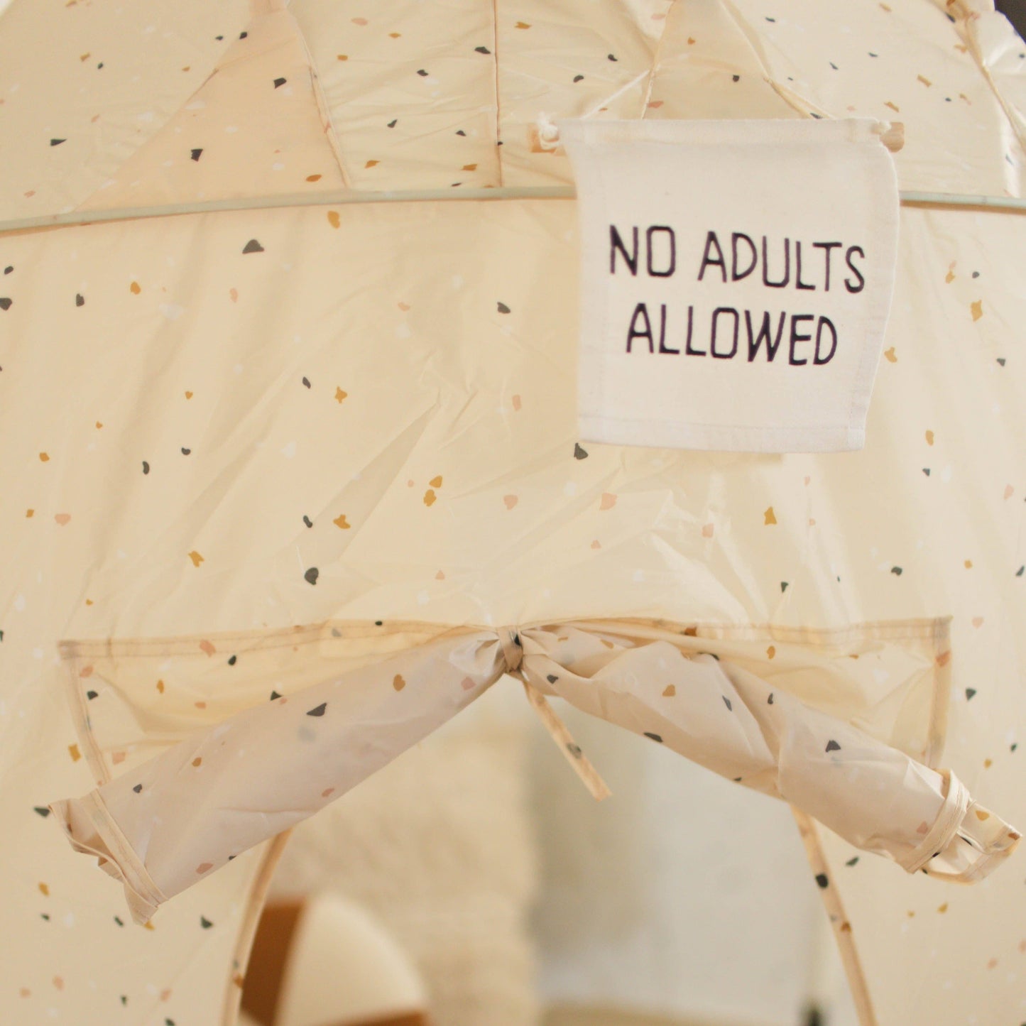 No Adults Allowed Canvas Sign
