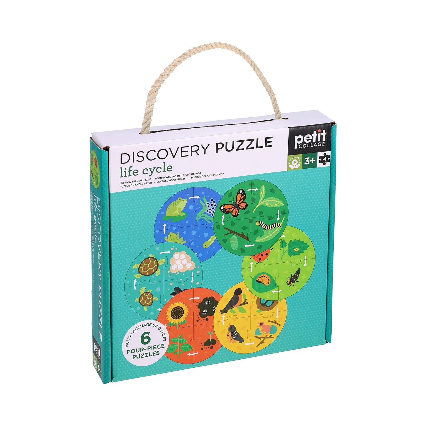 Discovery Puzzles: Life Cycle
