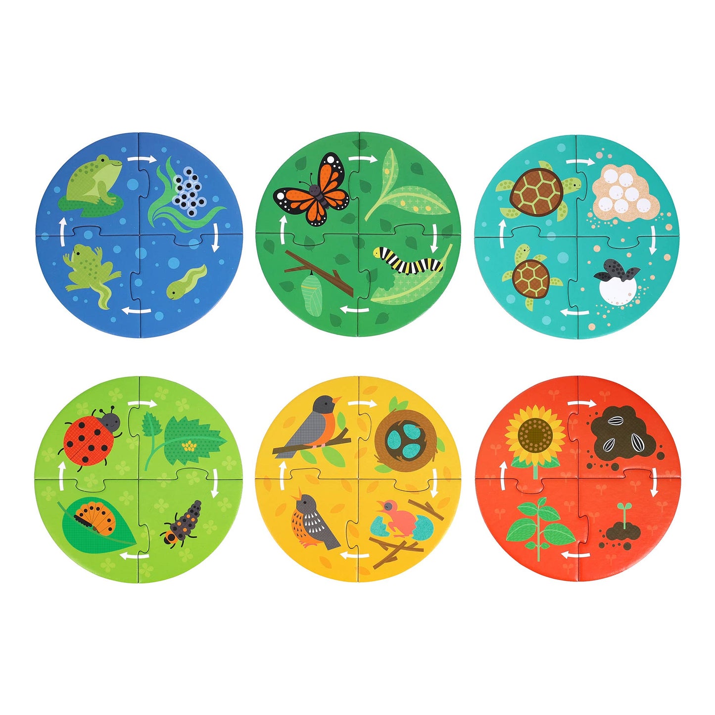 Discovery Puzzles: Life Cycle