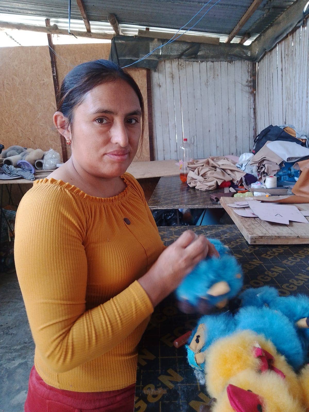 Colorful Alpaca Fur Goat