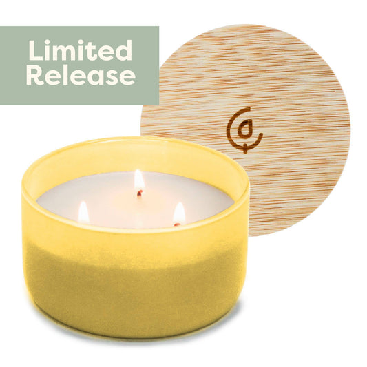 Pineapple + Coconut - Resilience Series 3 Wick Soy Candle
