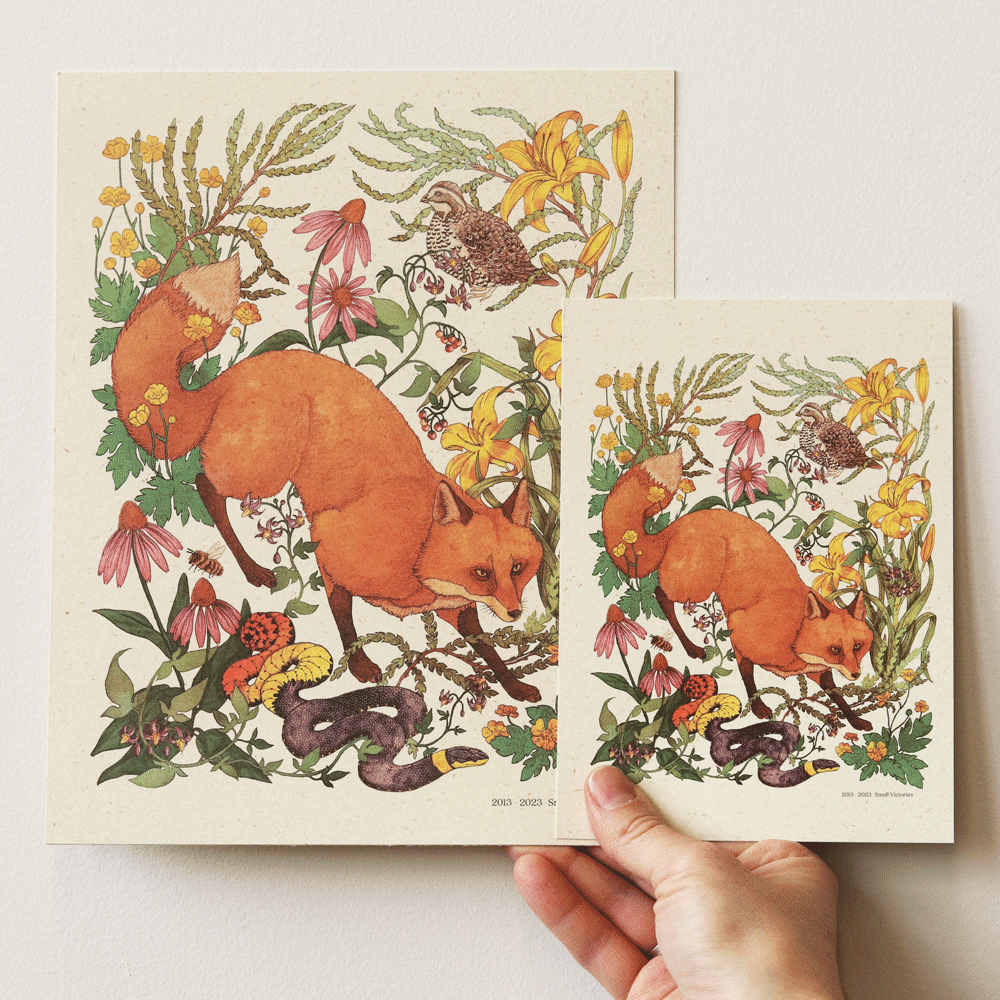 Woodland Meadow Fox Print