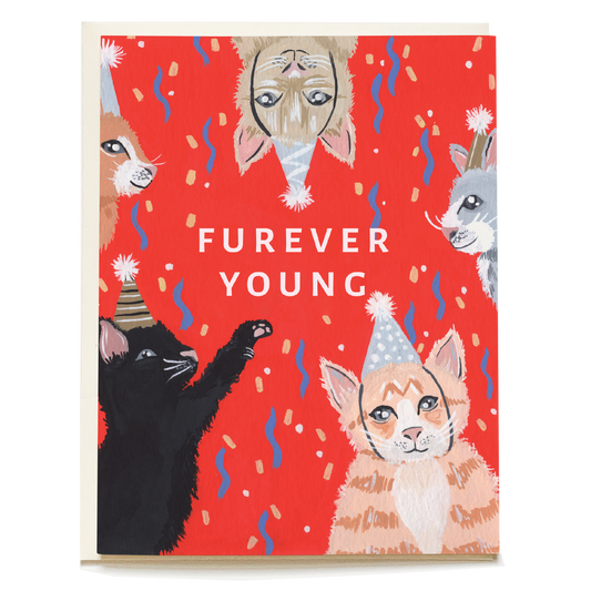 Kitten Party Birthday Greeting Card