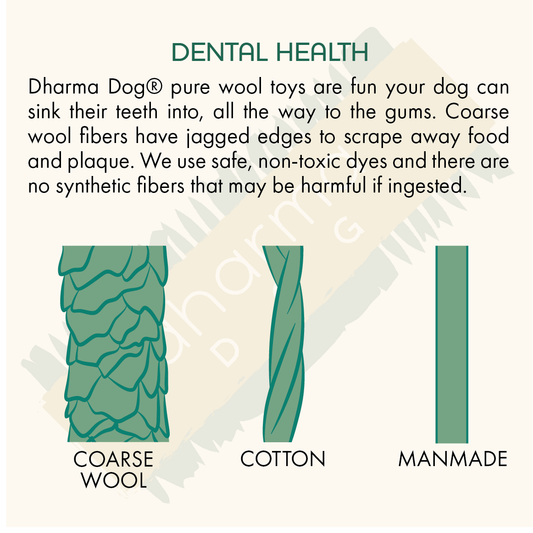 Dharma Dog Toy, Rope Ring, Blue/Turquoise: 10"