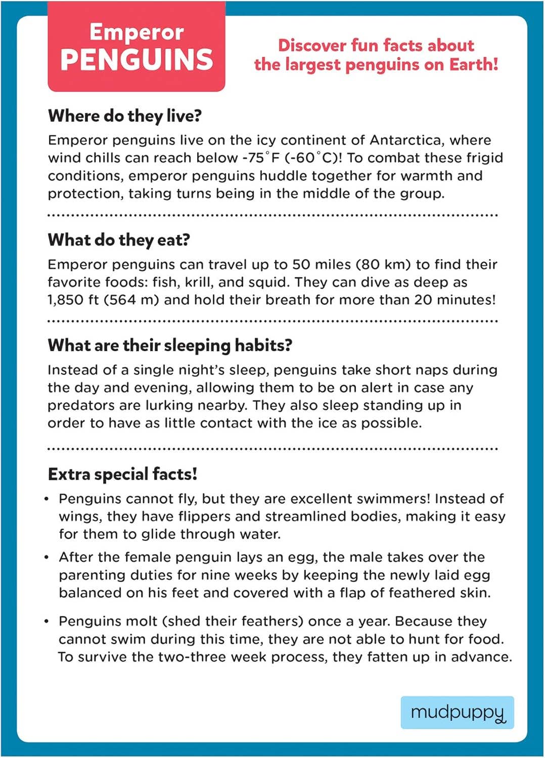 Emperor Penguin Mini Puzzle