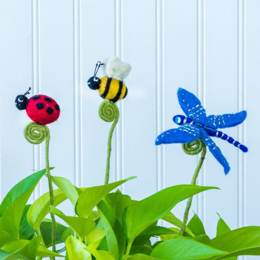 Garden Frond Friends