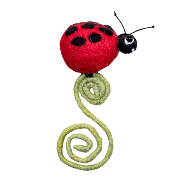 Garden Frond Friends