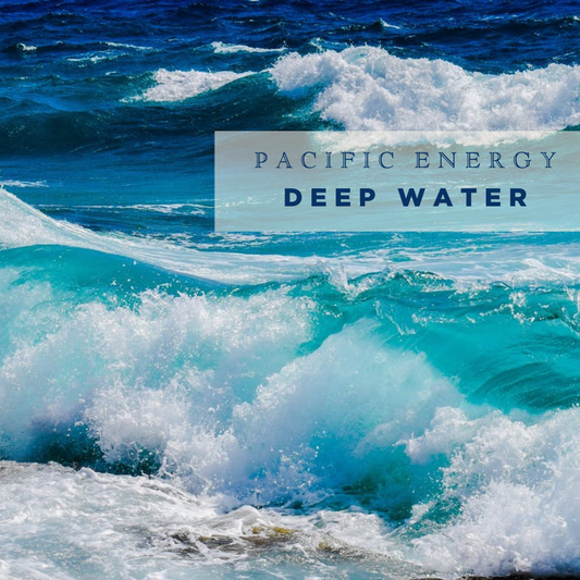 Ocean Navy Bifold Leather Wallet