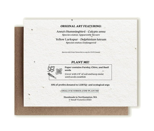 Anna's Hummingbird & Larkspur Plantable Herb Seed Card