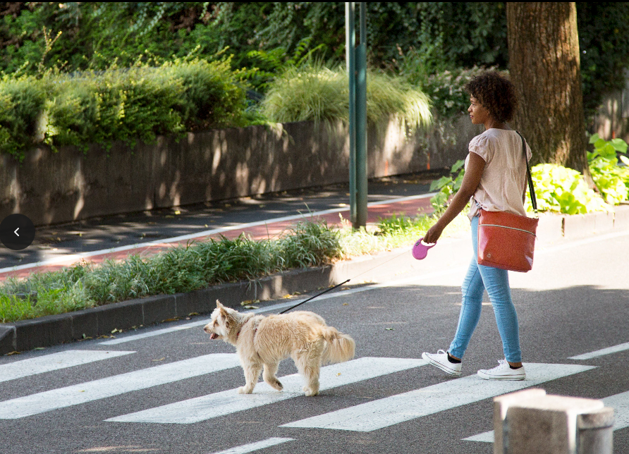 Terracotta Wildcard Studio Bag