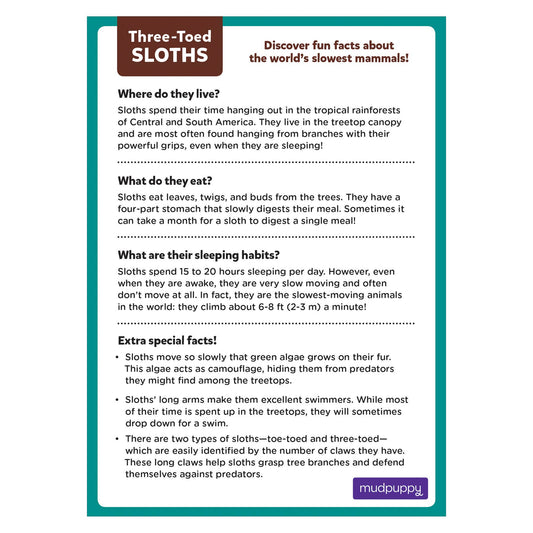 Three-Toed Sloth Mini Puzzle