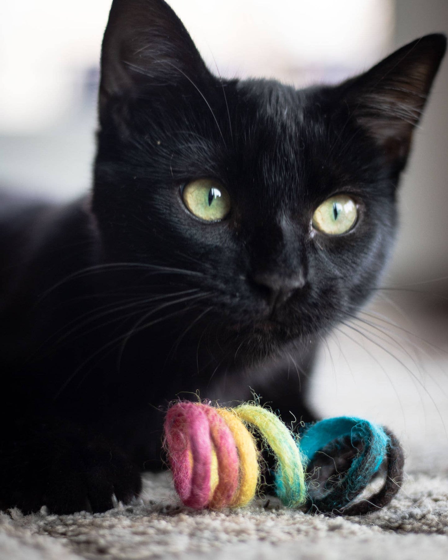 Eco Spring Cat Toy