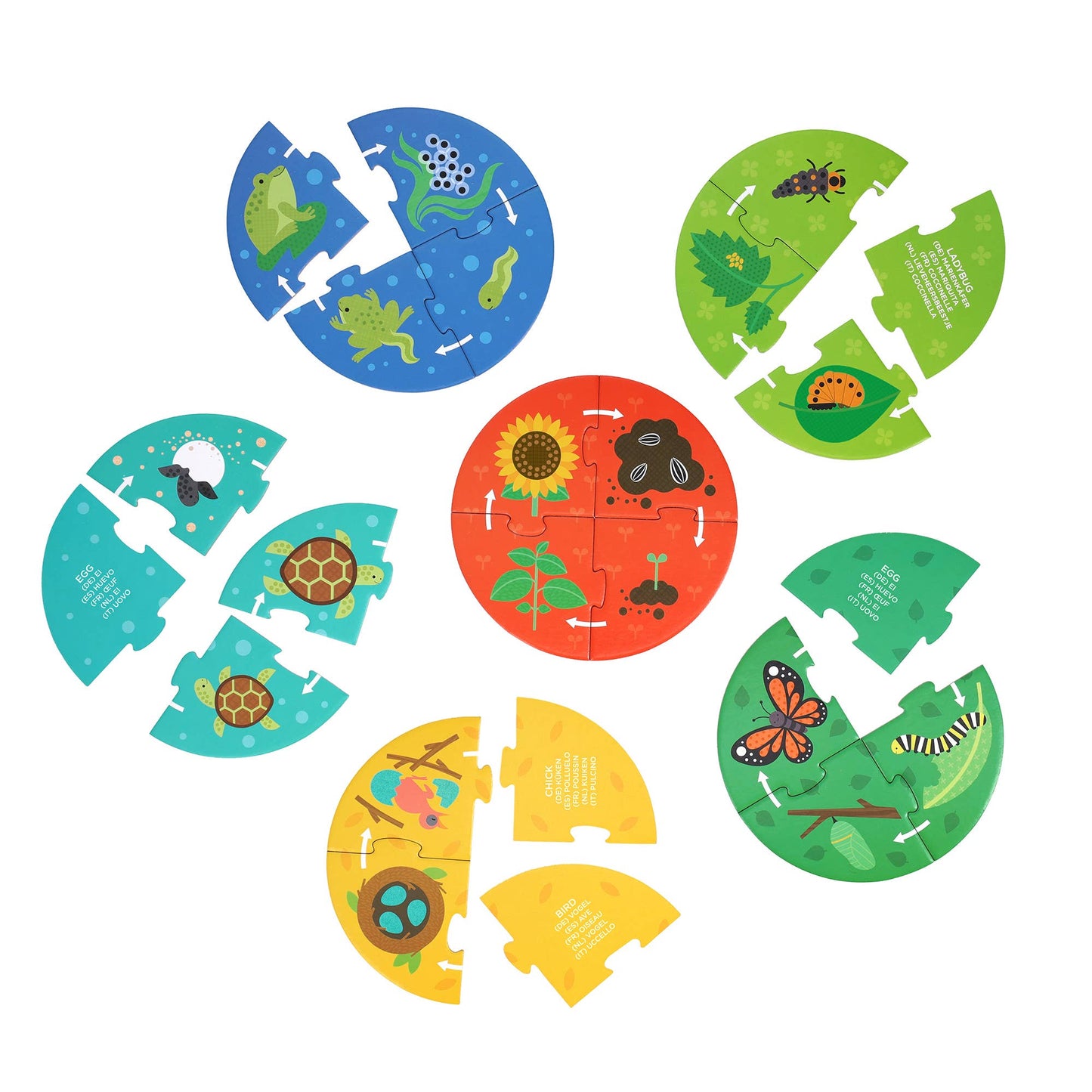 Discovery Puzzles: Life Cycle