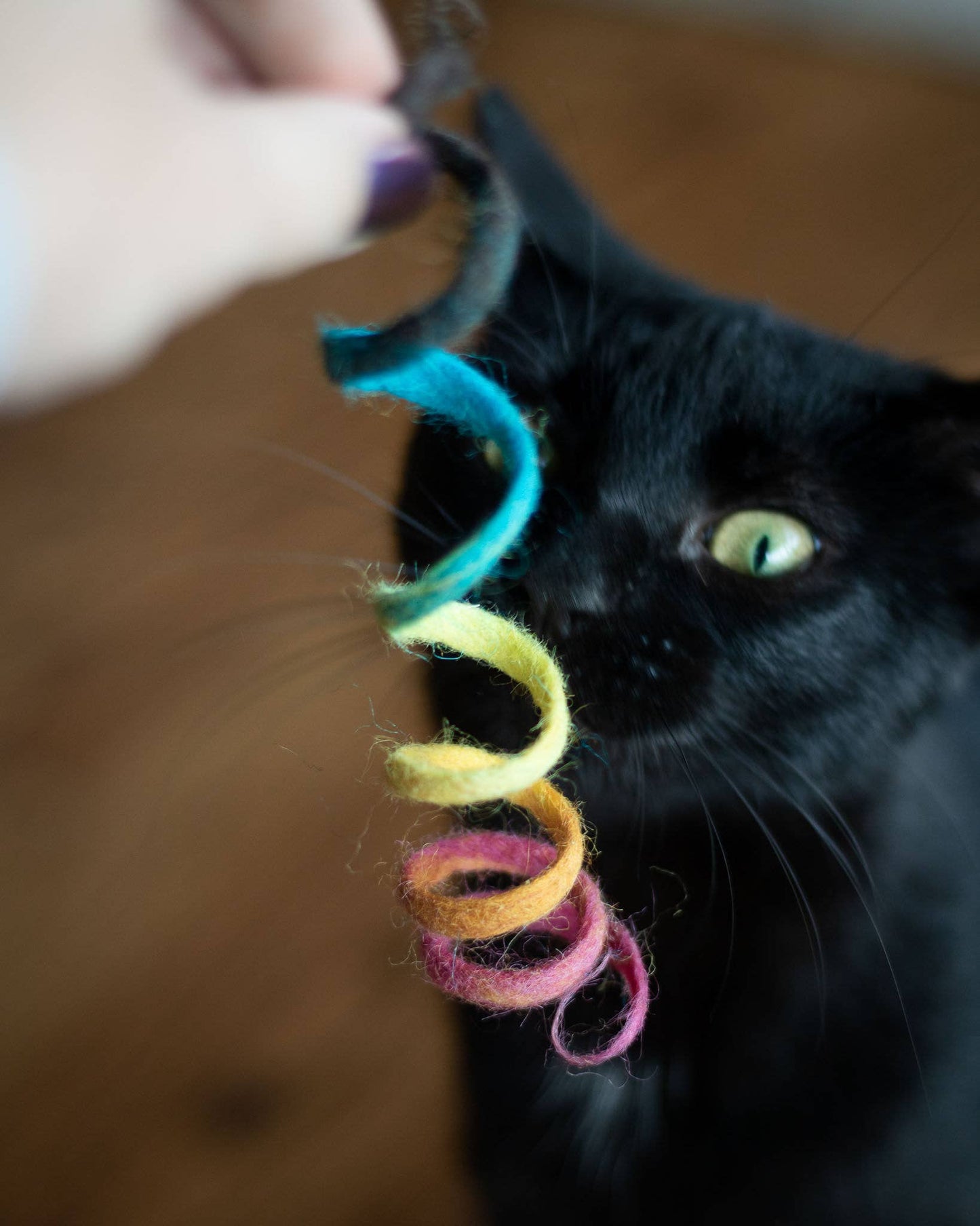 Eco Spring Cat Toy