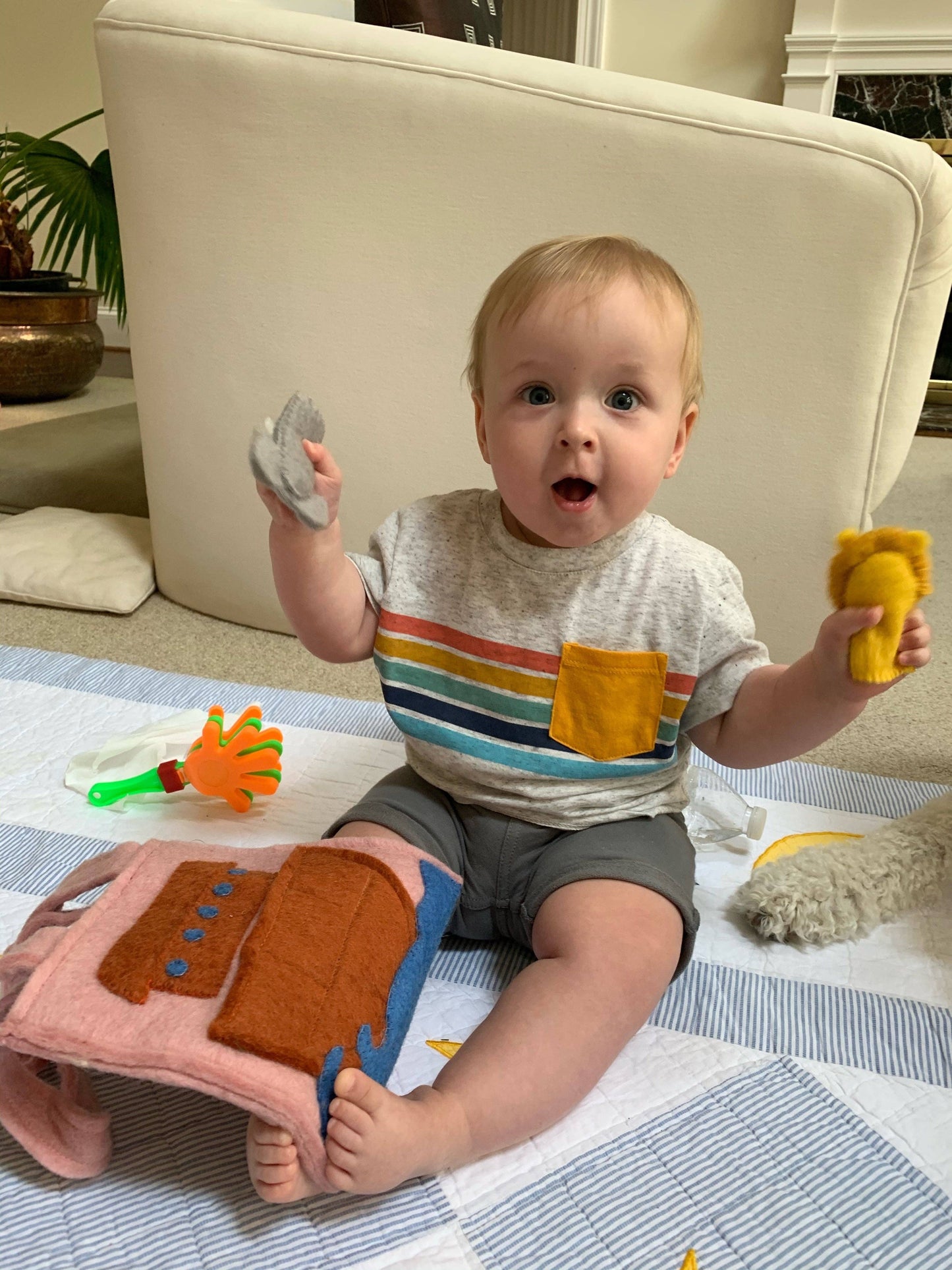 Noah`s Ark Felt Puppet Bag