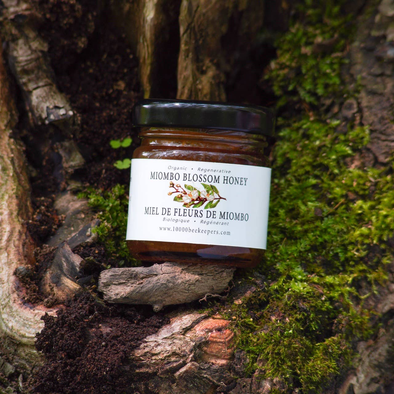 Mini Organic Miombo Blossom Honey