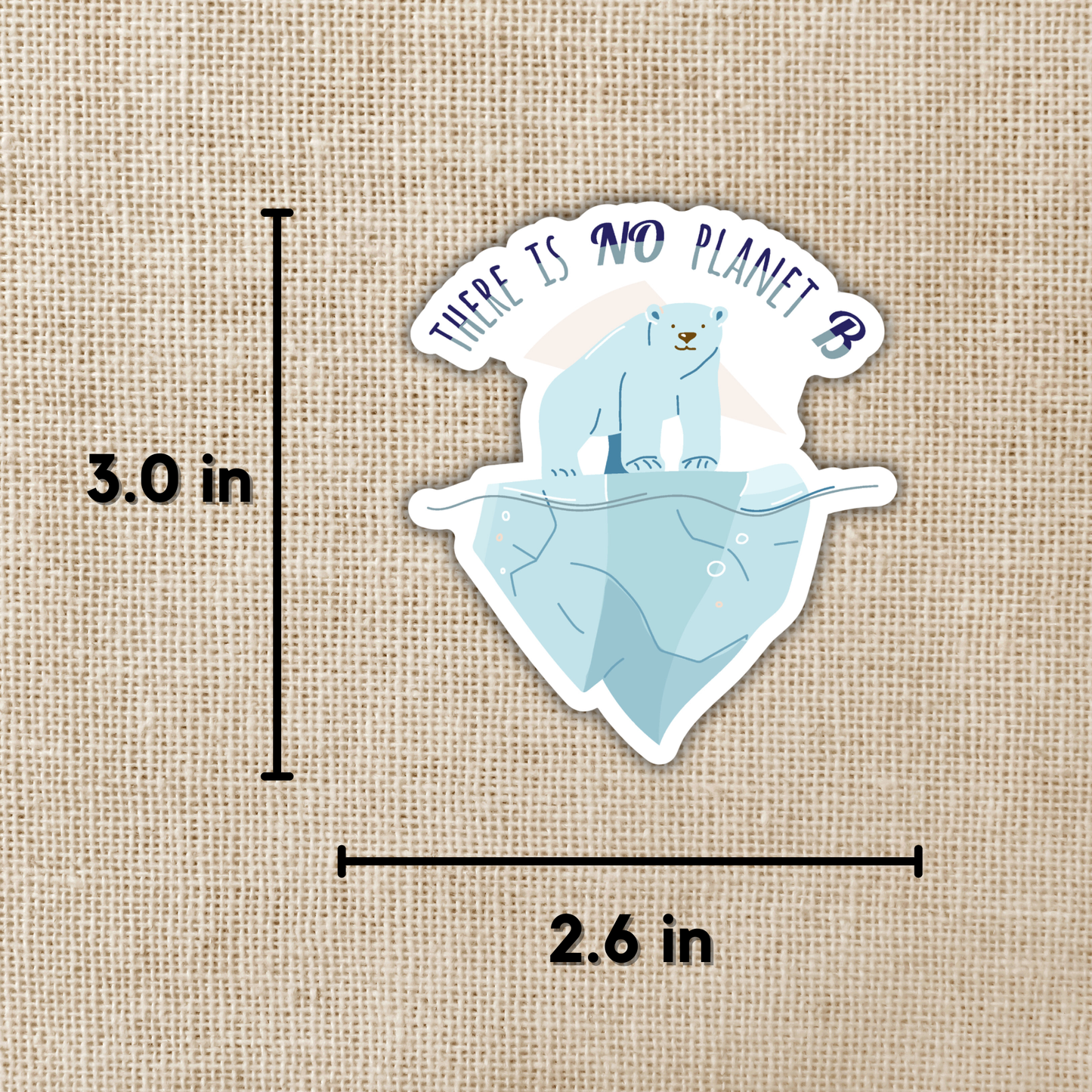 There Is No Planet B Sticker