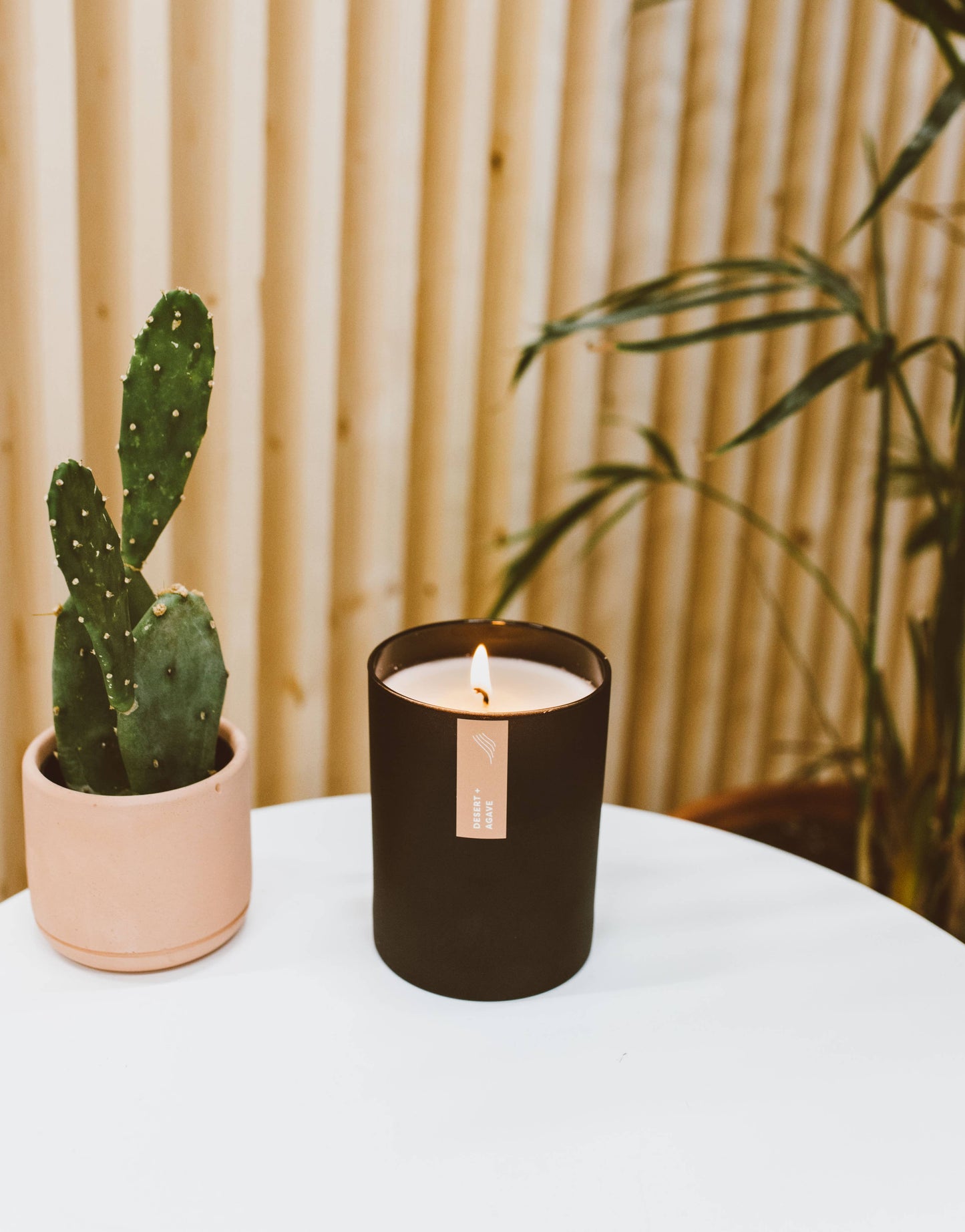 Desert + Agave - Matte Black Tumbler Soy Candle
