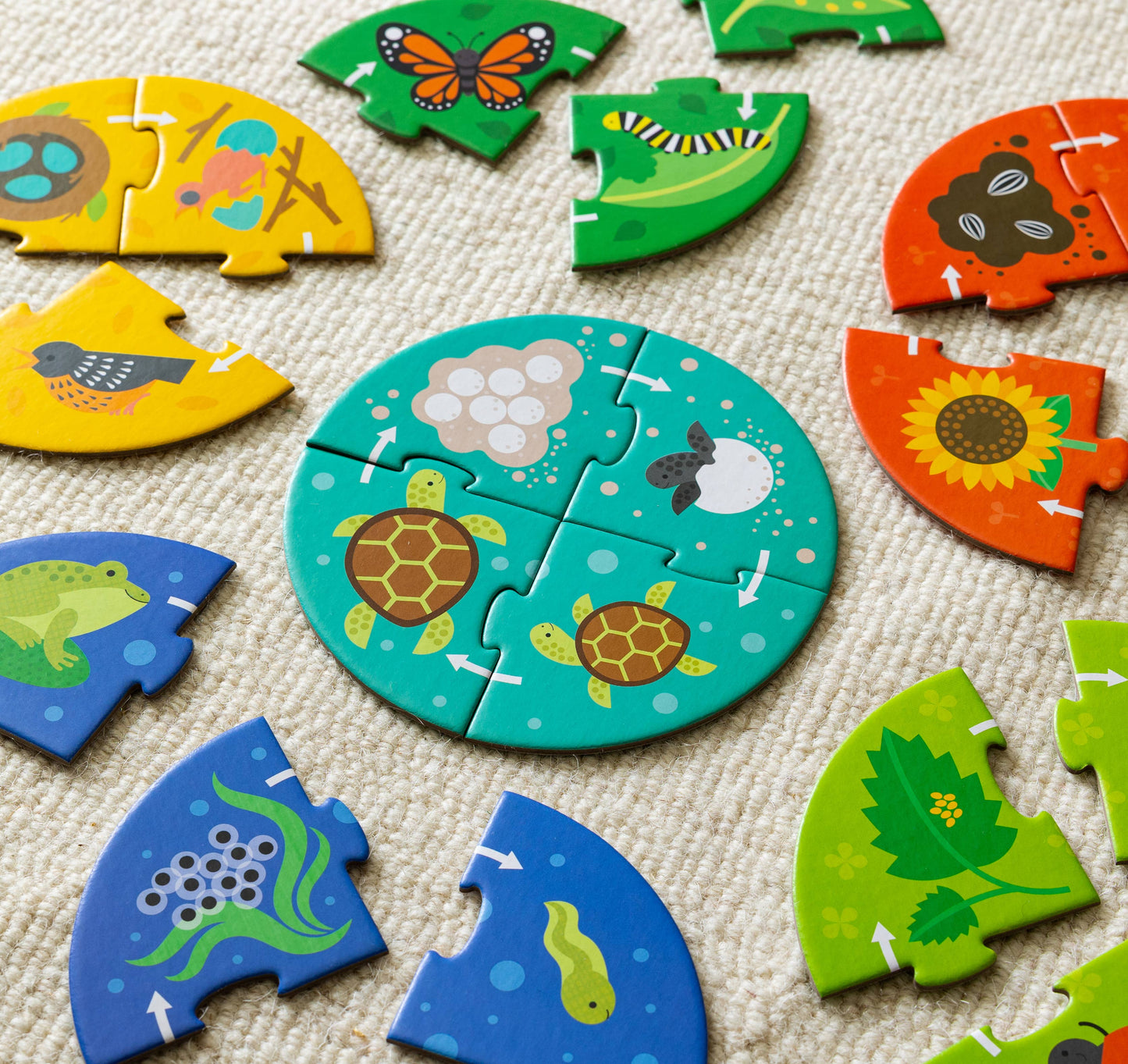 Discovery Puzzles: Life Cycle