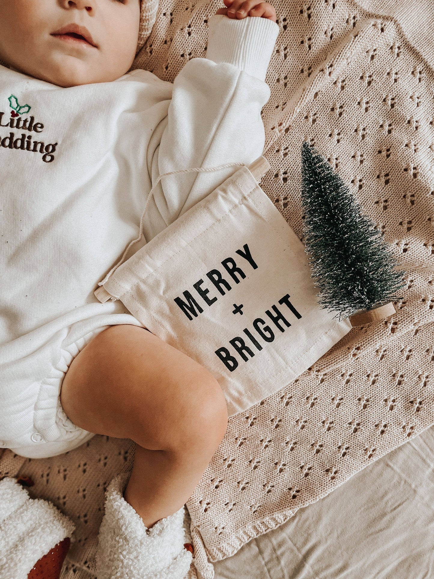Merry + Bright Canvas Wall Sign