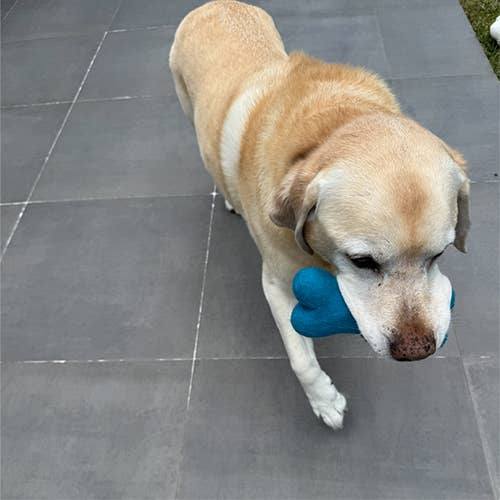 Eco Wool Colorful Dog Bones