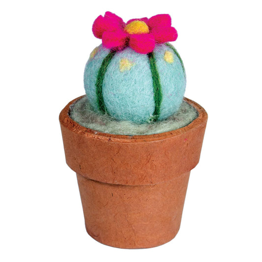Small Peyote Cactus