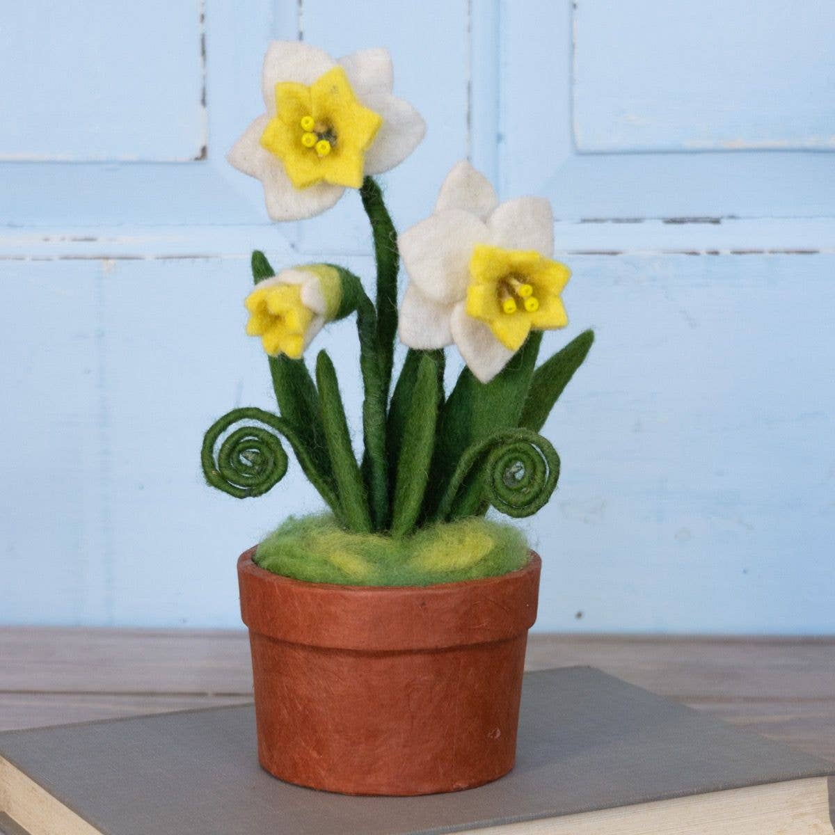 Daffodil Trio Potted Plant