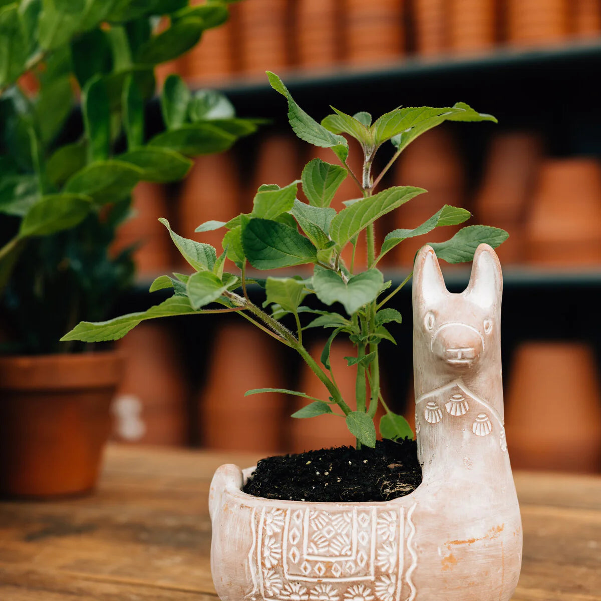 Llama Terracotta Planter