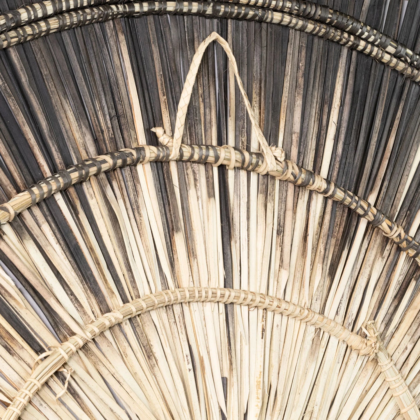 Palm Sun Circle 35.5"