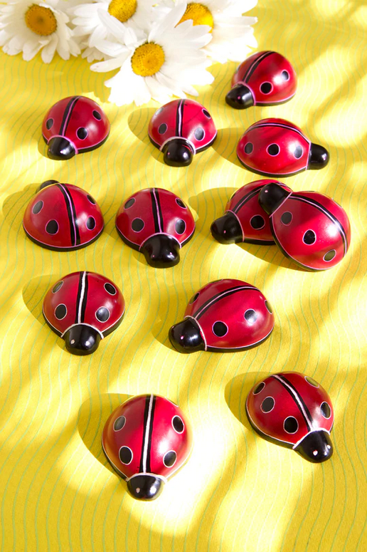 Mini Soapstone Ladybug